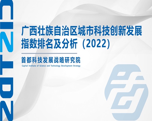 大尺度日本舔下面，流水【成果发布】广西壮族自治区城市科技创新发展指数排名及分析（2022）